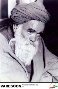 میرزا محمد صمصام